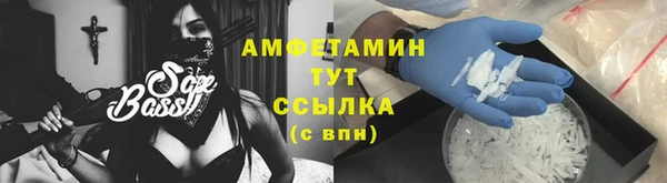 стаф Вязьма